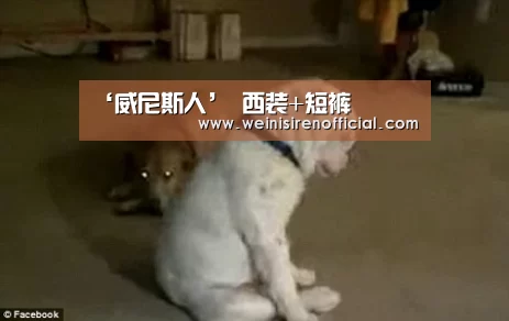 澳门威尼斯人娱乐城