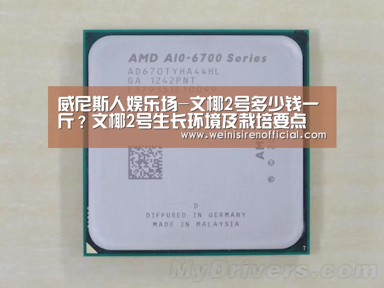 澳门威尼斯人娱乐城