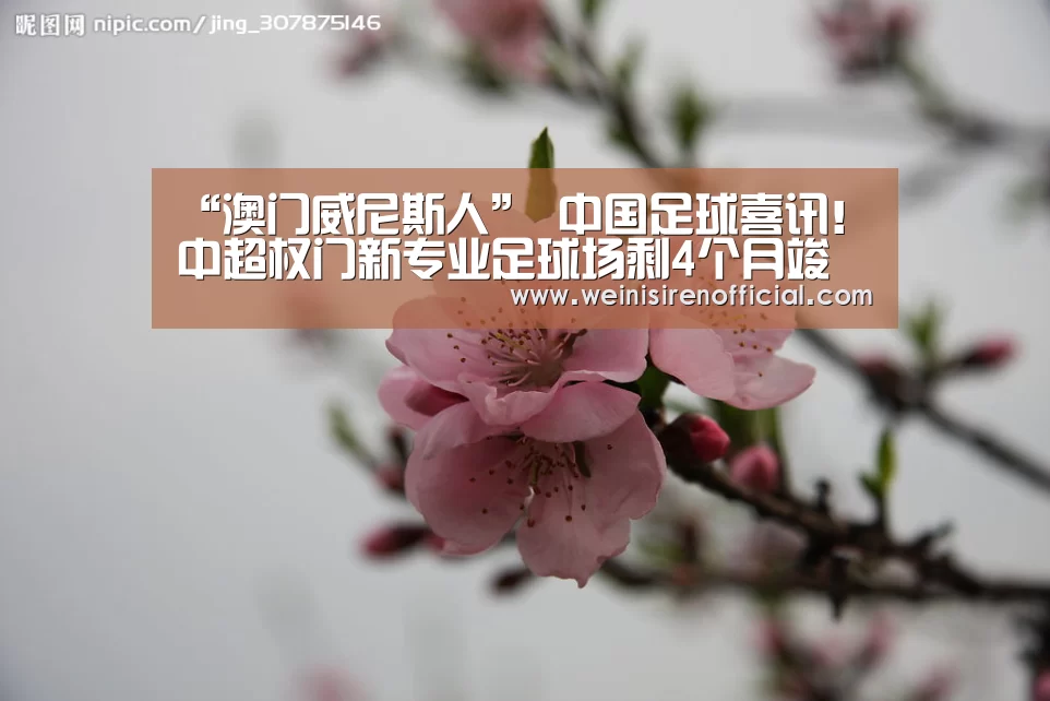 “澳门威尼斯人”
中国足球喜讯!中超权门新专业足球场剩4个月竣工:可容纳3.3万人(图1) 威尼斯人