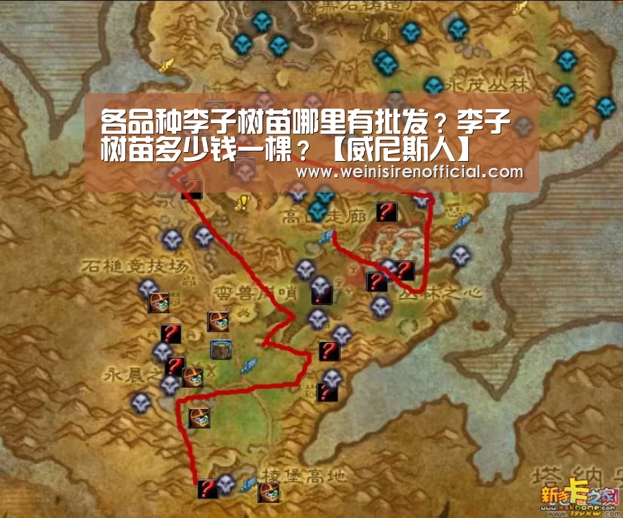 各品种李子树苗哪里有批发?李子树苗多少钱一棵?【威尼斯人】(图2) 澳门威尼斯人