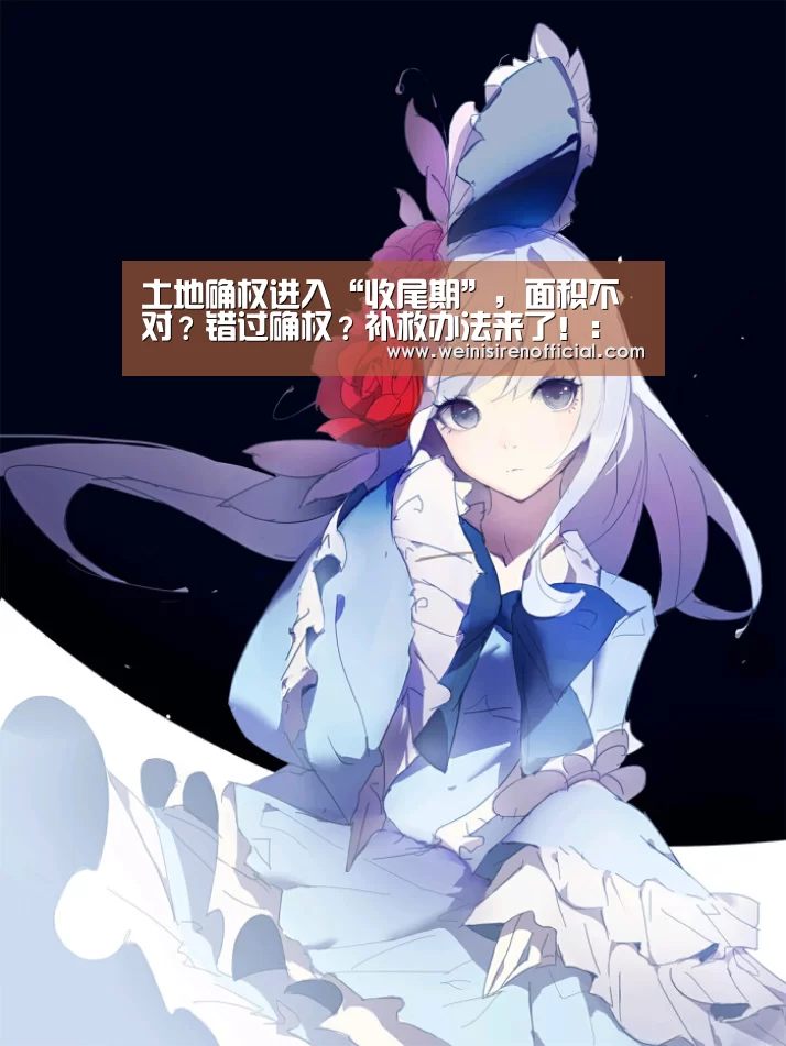 土地确权进入“收尾期”,面积不对?错过确权?补救办法来了!:澳门威尼斯人(图3) 威尼斯人